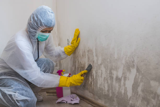 Best Biohazard Mold Removal  in Newark, NY